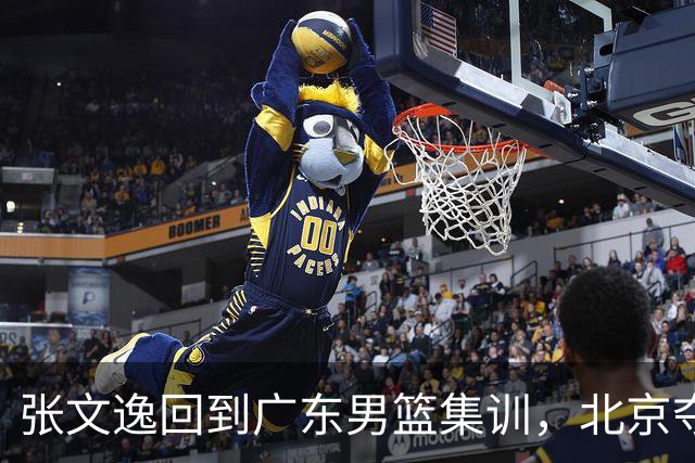 张文逸回到广东男篮集训，北京夺冠功勋确定退役，上海欲续约弗格